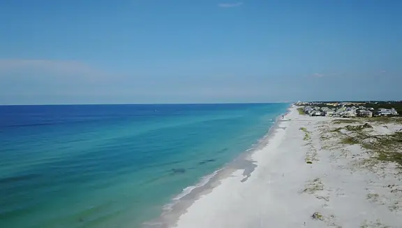 Dolphin Run Dolphin Run